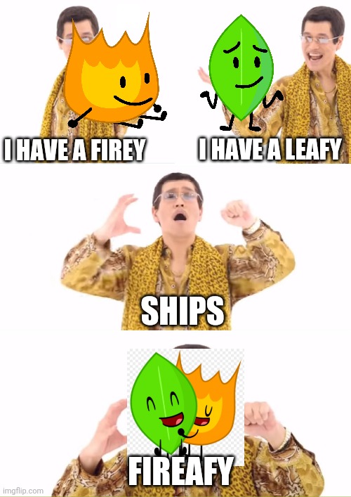 Bfb ships in a nutshell | I HAVE A LEAFY; I HAVE A FIREY; SHIPS; FIREAFY | image tagged in memes,ppap,bfdi,bfb,bfb ships | made w/ Imgflip meme maker