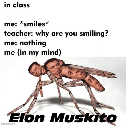 oo a costly Mosquito. Don't kill it | image tagged in memes,elon musk,mosquito | made w/ Imgflip meme maker