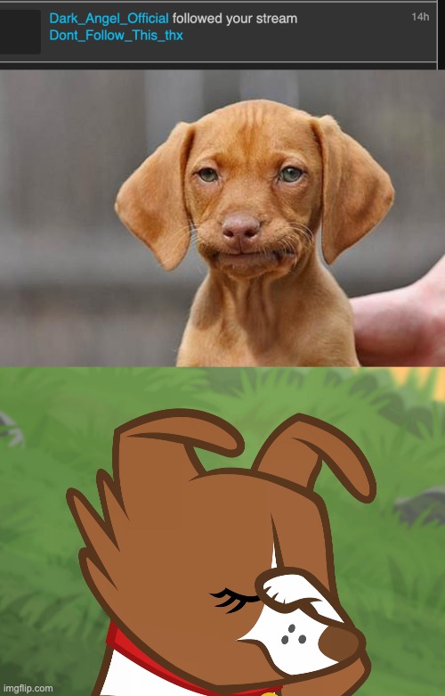 ERGGHHHHHHHHHHHHHH | image tagged in dissapointed puppy,winona facepaw mlp | made w/ Imgflip meme maker