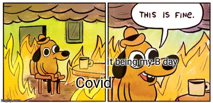 This Is Fine | It being my B day; Covid | image tagged in memes,this is fine | made w/ Imgflip meme maker
