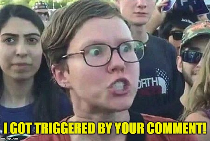 Triggered Liberal | I GOT TRIGGERED BY YOUR COMMENT! | image tagged in triggered liberal | made w/ Imgflip meme maker