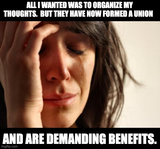 Organized | ALL I WANTED WAS TO ORGANIZE MY THOUGHTS.  BUT THEY HAVE NOW FORMED A UNION; AND ARE DEMANDING BENEFITS. | image tagged in memes,first world problems | made w/ Imgflip meme maker