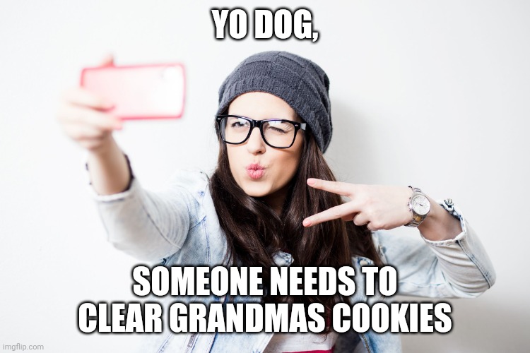 Millenial | YO DOG, SOMEONE NEEDS TO CLEAR GRANDMAS COOKIES | image tagged in millenial | made w/ Imgflip meme maker