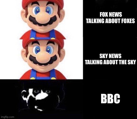 Mario dark three panel | FOX NEWS TALKING ABOUT FOXES; SKY NEWS TALKING ABOUT THE SKY; BBC | image tagged in mario dark three panel,news,bbc,fox news | made w/ Imgflip meme maker