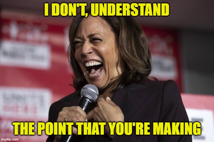 Kamala laughing | I DON'T, UNDERSTAND THE POINT THAT YOU'RE MAKING | image tagged in kamala laughing | made w/ Imgflip meme maker