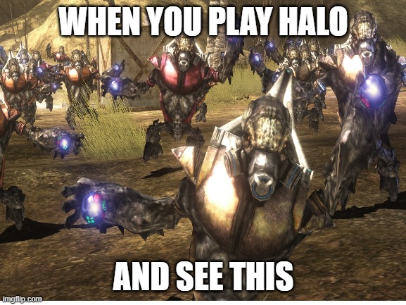 halo meme | WHEN YOU PLAY HALO; AND SEE THIS | image tagged in video games,memes,halo | made w/ Imgflip meme maker