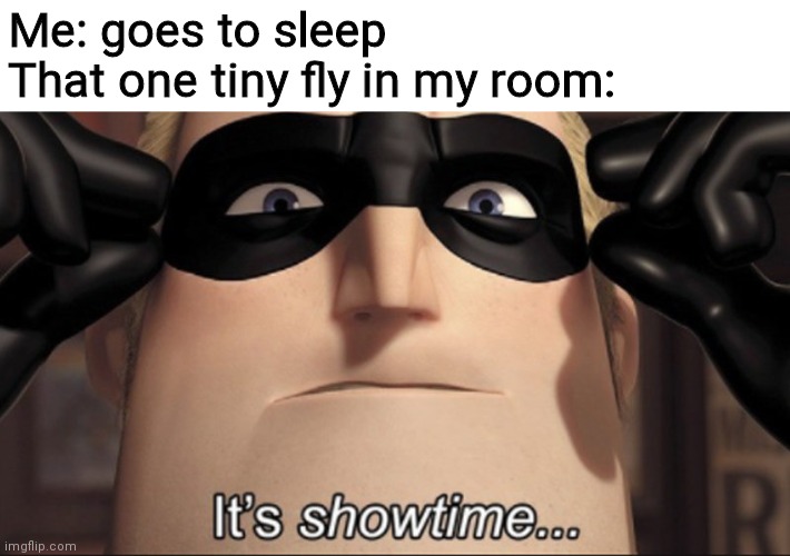It's showtime |  Me: goes to sleep
That one tiny fly in my room: | image tagged in it's showtime | made w/ Imgflip meme maker