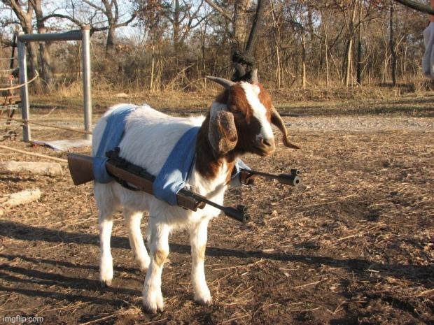 Call of Duty Goat | image tagged in call of duty goat | made w/ Imgflip meme maker