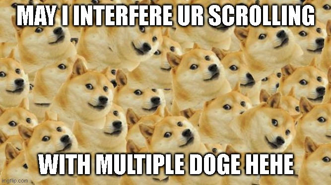 Multi Doge |  MAY I INTERFERE UR SCROLLING; WITH MULTIPLE DOGE HEHE | image tagged in memes,multi doge,hehe | made w/ Imgflip meme maker