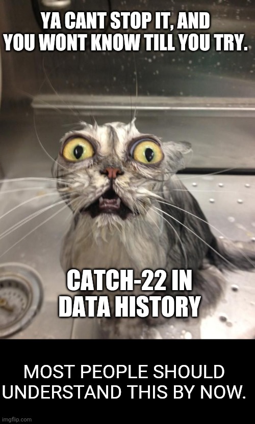 Paranoia Cat | YA CANT STOP IT, AND YOU WONT KNOW TILL YOU TRY. CATCH-22 IN DATA HISTORY MOST PEOPLE SHOULD UNDERSTAND THIS BY NOW. | image tagged in paranoia cat | made w/ Imgflip meme maker