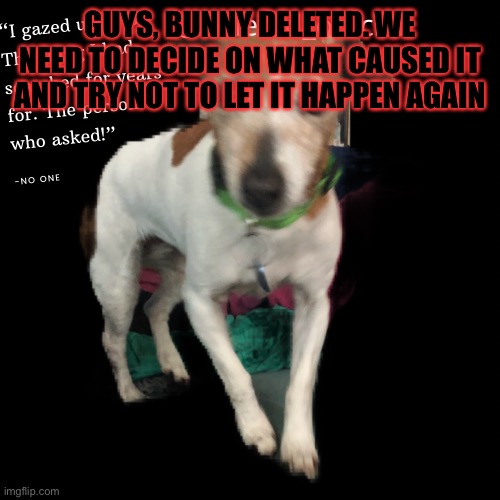 Deleted | GUYS, BUNNY DELETED. WE NEED TO DECIDE ON WHAT CAUSED IT AND TRY NOT TO LET IT HAPPEN AGAIN | image tagged in deleted | made w/ Imgflip meme maker