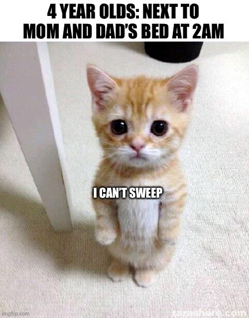 Every parent knows this | 4 YEAR OLDS: NEXT TO MOM AND DAD’S BED AT 2AM; I CAN’T SWEEP | image tagged in memes,cute cat,no sleep | made w/ Imgflip meme maker