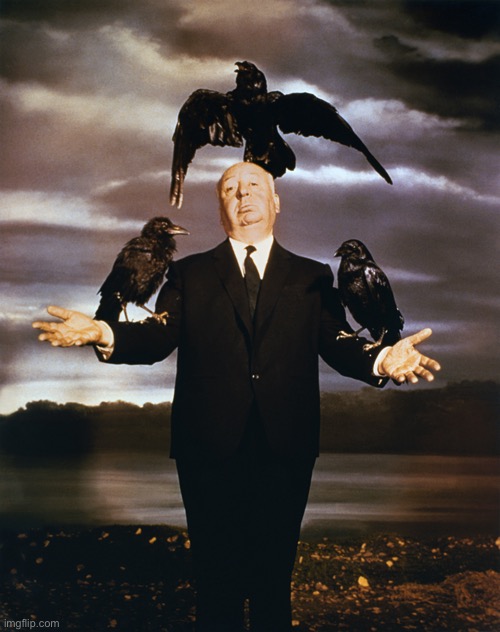 hitchcock birds | image tagged in hitchcock birds | made w/ Imgflip meme maker