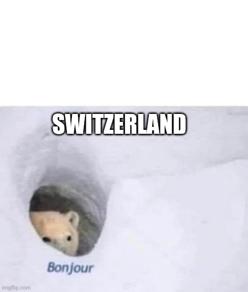 Bonjour | SWITZERLAND | image tagged in bonjour | made w/ Imgflip meme maker