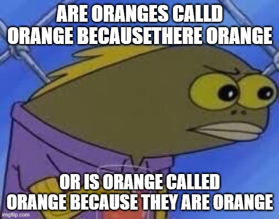 hmmmmmmmm | ARE ORANGES CALLD ORANGE BECAUSETHERE ORANGE; OR IS ORANGE CALLED ORANGE BECAUSE THEY ARE ORANGE | image tagged in hmmmmmmmm | made w/ Imgflip meme maker