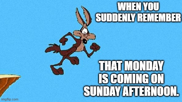 Wile E. Coyote | WHEN YOU SUDDENLY REMEMBER; THAT MONDAY IS COMING ON SUNDAY AFTERNOON. | image tagged in wile e coyote | made w/ Imgflip meme maker