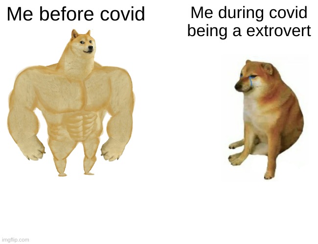 Buff Doge vs. Cheems Meme | Me before covid; Me during covid being a extrovert | image tagged in memes,buff doge vs cheems | made w/ Imgflip meme maker