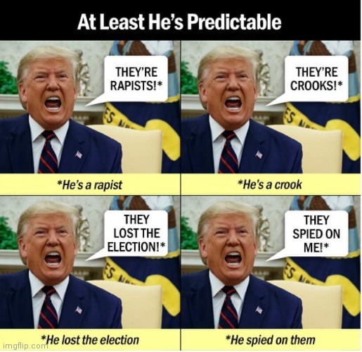 I found this, now I'm sharing | image tagged in memes,funny,donald trump,loser | made w/ Imgflip meme maker