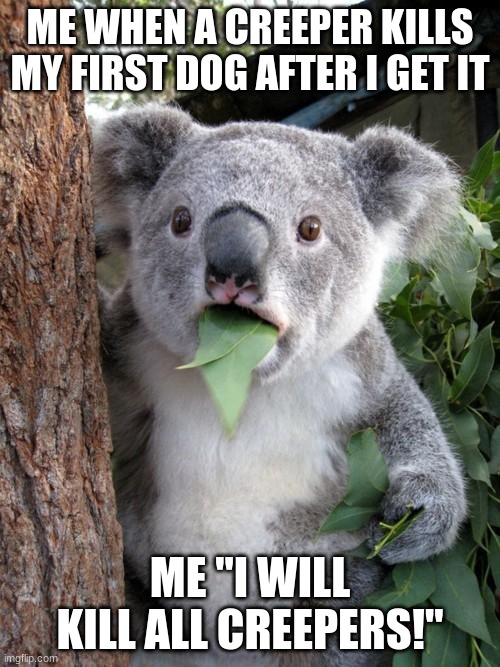Surprised Koala | ME WHEN A CREEPER KILLS MY FIRST DOG AFTER I GET IT; ME ''I WILL KILL ALL CREEPERS!'' | image tagged in memes,surprised koala | made w/ Imgflip meme maker