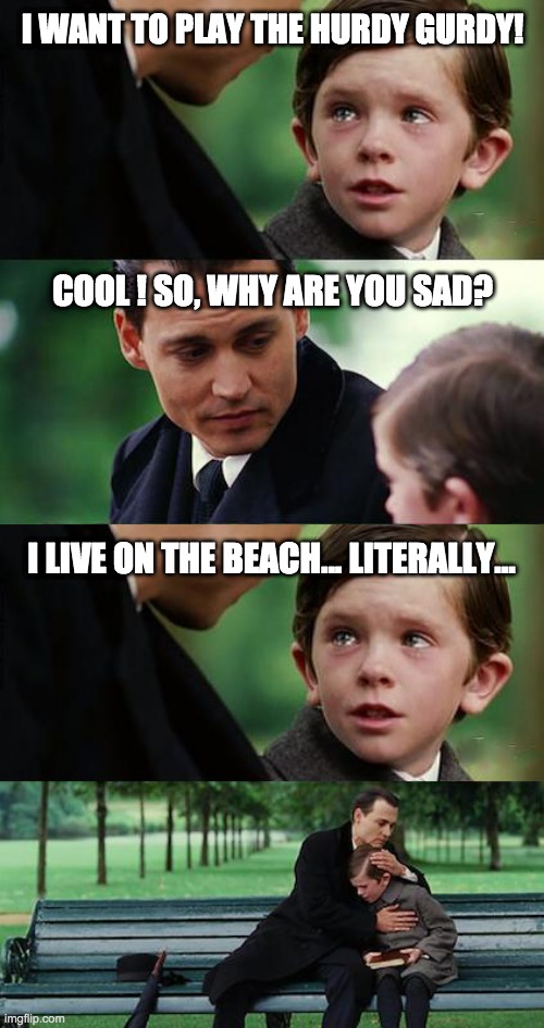 hurdy gurdy | I WANT TO PLAY THE HURDY GURDY! COOL ! SO, WHY ARE YOU SAD? I LIVE ON THE BEACH... LITERALLY... | image tagged in bench 4 frames | made w/ Imgflip meme maker