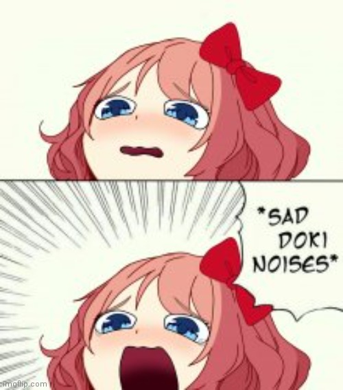 *Sad Doki noises* | image tagged in sad doki noises | made w/ Imgflip meme maker