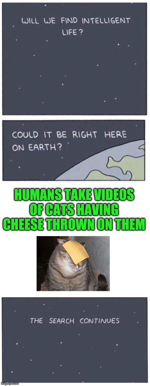 Will we find intelligent life? | HUMANS TAKE VIDEOS OF CATS HAVING CHEESE THROWN ON THEM | image tagged in will we find intelligent life | made w/ Imgflip meme maker