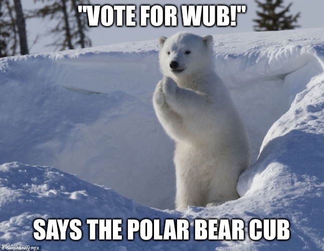 Help us win the race to the presidency! | "VOTE FOR WUB!"; SAYS THE POLAR BEAR CUB | image tagged in pleading polar bear cub | made w/ Imgflip meme maker