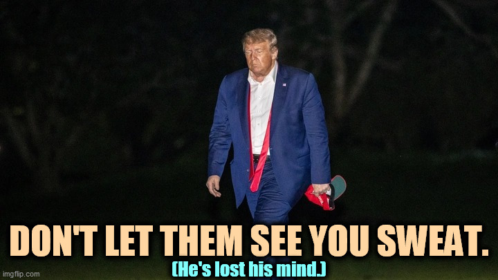 He's falling apart. | DON'T LET THEM SEE YOU SWEAT. (He's lost his mind.) | image tagged in trump tulsa big fat loser defeat,trump,loser,revenge,insane | made w/ Imgflip meme maker
