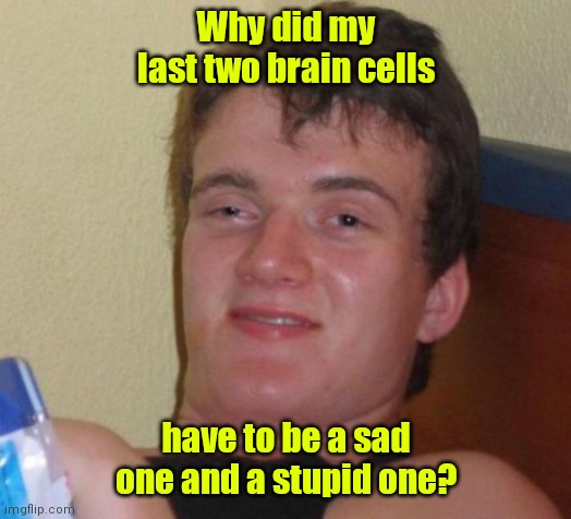 After this weekend there will be only one. | Why did my last two brain cells; have to be a sad one and a stupid one? | image tagged in memes,10 guy,funny | made w/ Imgflip meme maker