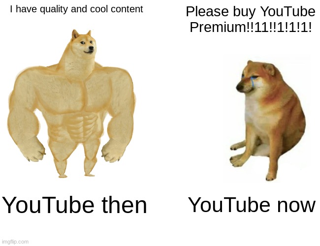 Buff Doge vs. Cheems | I have quality and cool content; Please buy YouTube Premium!!11!!1!1!1! YouTube then; YouTube now | image tagged in memes,buff doge vs cheems | made w/ Imgflip meme maker