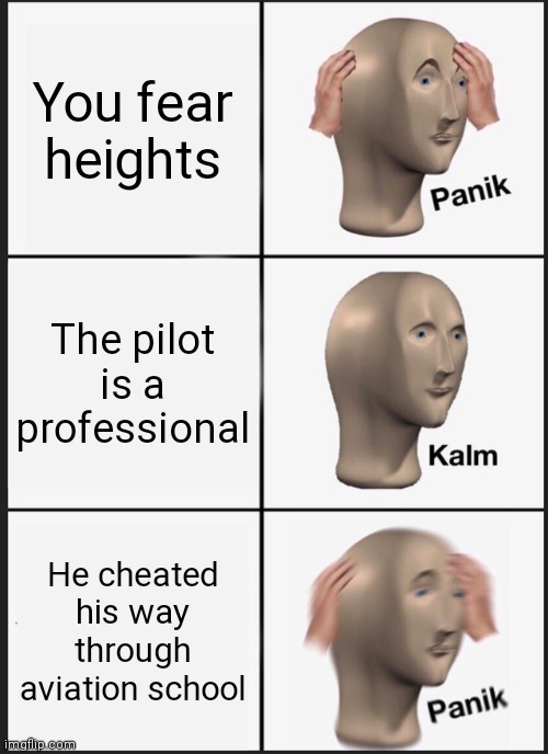 If this happens to me just know if a plane crashes tonight I'm dead | You fear heights; The pilot is a professional; He cheated his way through aviation school | image tagged in memes,panik kalm panik | made w/ Imgflip meme maker