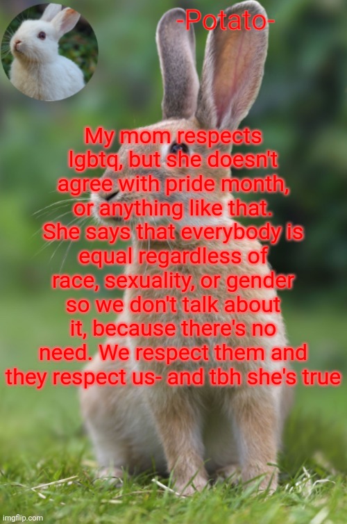 -Potato- rabbit announcement | My mom respects lgbtq, but she doesn't agree with pride month, or anything like that. She says that everybody is equal regardless of race, sexuality, or gender so we don't talk about it, because there's no need. We respect them and they respect us- and tbh she's true | image tagged in -potato- rabbit announcement | made w/ Imgflip meme maker