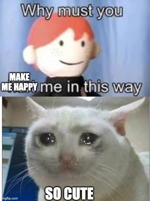 MAKE ME HAPPY SO CUTE | image tagged in why must you hurt me in this way,crying cat | made w/ Imgflip meme maker