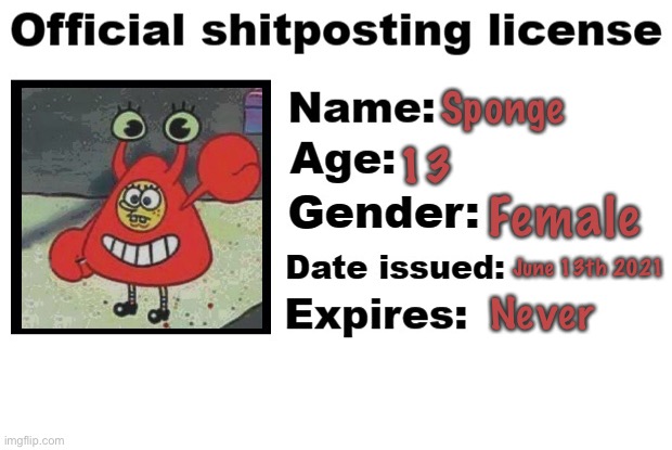 Sponge shitpost temp Blank Meme Template