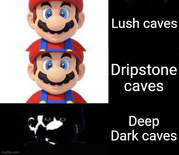 Mario dark three panel | Lush caves; Dripstone caves; Deep Dark caves | image tagged in mario dark three panel | made w/ Imgflip meme maker