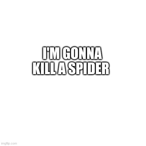 Blank Transparent Square | I'M GONNA KILL A SPIDER | image tagged in memes,blank transparent square | made w/ Imgflip meme maker