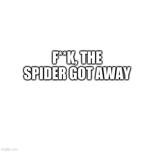Blank Transparent Square | F**K, THE SPIDER GOT AWAY | image tagged in memes,blank transparent square | made w/ Imgflip meme maker