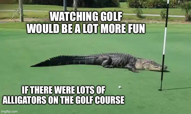 Alligator on golf course | WATCHING GOLF WOULD BE A LOT MORE FUN; IF THERE WERE LOTS OF ALLIGATORS ON THE GOLF COURSE | image tagged in alligator on golf course | made w/ Imgflip meme maker