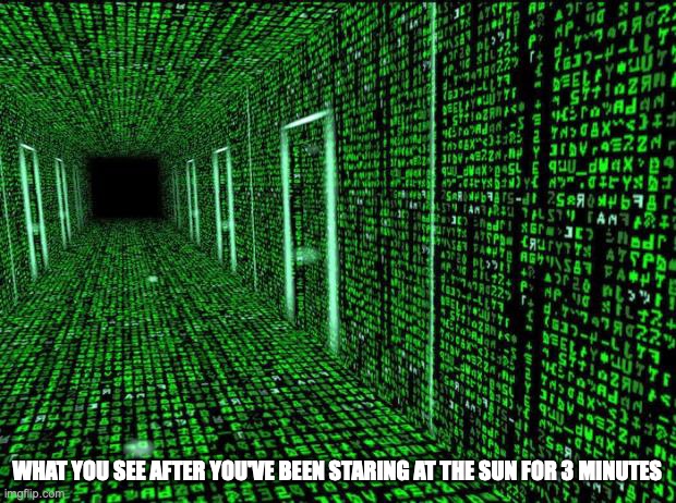 Its all green | WHAT YOU SEE AFTER YOU'VE BEEN STARING AT THE SUN FOR 3 MINUTES | image tagged in matrix hallway code | made w/ Imgflip meme maker