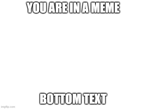 WDYD | YOU ARE IN A MEME; BOTTOM TEXT | image tagged in blank white template | made w/ Imgflip meme maker