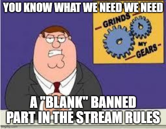 A ban list in the submission rules | YOU KNOW WHAT WE NEED WE NEED; A "BLANK" BANNED PART IN THE STREAM RULES | image tagged in you know what really grinds my gears | made w/ Imgflip meme maker