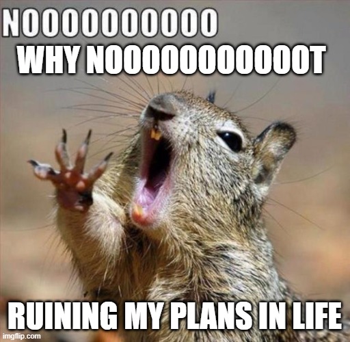 noooooooooooooooooooooooo | WHY NOOOOOOOOOOOT RUINING MY PLANS IN LIFE | image tagged in noooooooooooooooooooooooo | made w/ Imgflip meme maker