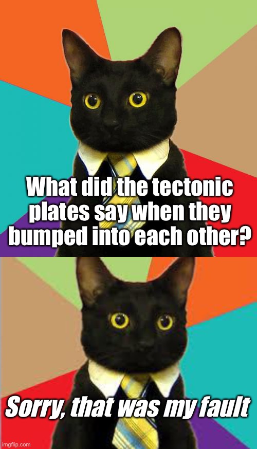 Dad jokes suck | What did the tectonic plates say when they bumped into each other? Sorry, that was my fault | image tagged in memes,business cat,cat tie,dad joke,crappy memes | made w/ Imgflip meme maker