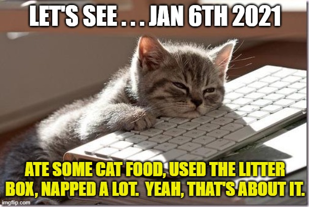 Bored Keyboard Cat | LET'S SEE . . . JAN 6TH 2021 ATE SOME CAT FOOD, USED THE LITTER BOX, NAPPED A LOT.  YEAH, THAT'S ABOUT IT. | image tagged in bored keyboard cat | made w/ Imgflip meme maker