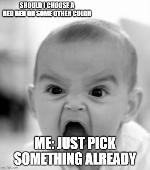 just pick one already | SHOULD I CHOOSE A RED BED OR SOME OTHER COLOR; ME: JUST PICK SOMETHING ALREADY | image tagged in bruh moment | made w/ Imgflip meme maker
