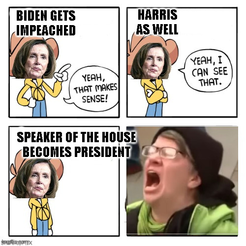 BIDEN GETS
IMPEACHED SPEAKER OF THE HOUSE
BECOMES PRESIDENT HARRIS
AS WELL | made w/ Imgflip meme maker