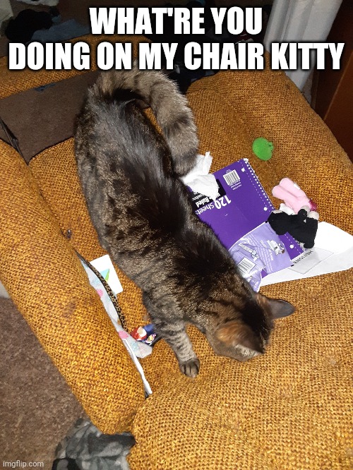 WHAT'RE YOU DOING ON MY CHAIR KITTY | made w/ Imgflip meme maker