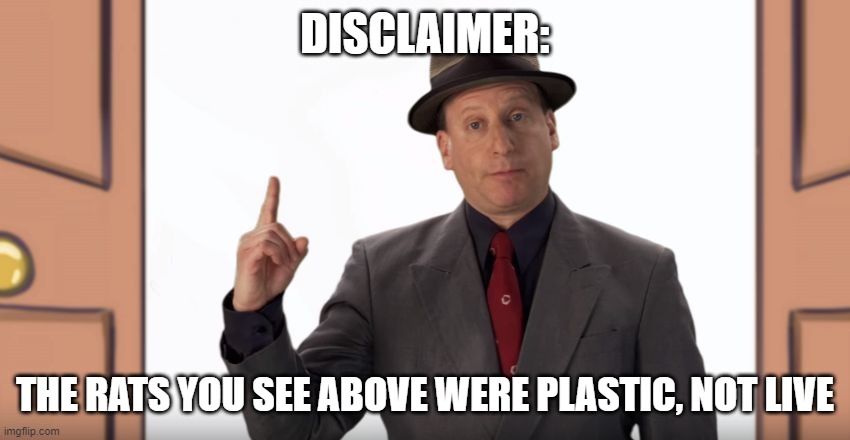 Mr. Disclaimer | DISCLAIMER: THE RATS YOU SEE ABOVE WERE PLASTIC, NOT LIVE | image tagged in mr disclaimer | made w/ Imgflip meme maker