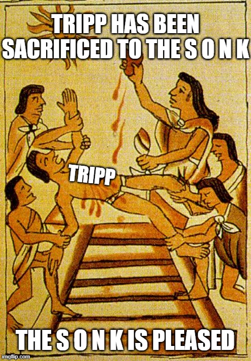 Aztec sacrifice  | TRIPP HAS BEEN SACRIFICED TO THE S O N K; TRIPP; THE S O N K IS PLEASED | image tagged in aztec sacrifice | made w/ Imgflip meme maker