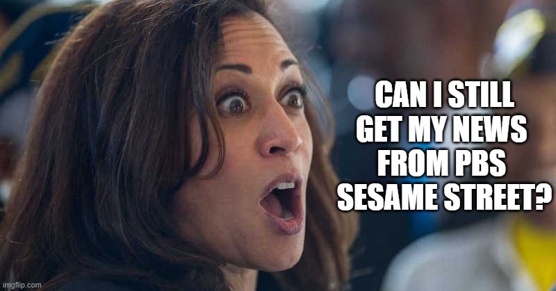 kamala harriss | CAN I STILL
GET MY NEWS 
FROM PBS 
SESAME STREET? | image tagged in kamala harriss | made w/ Imgflip meme maker